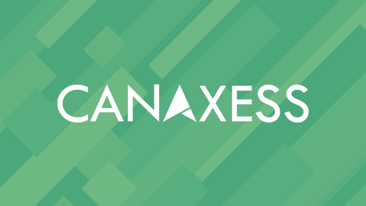 how to make chatbots accessible